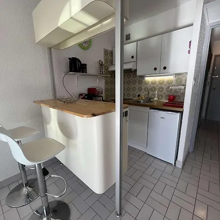 아파트 Au Cap D'agde Avec Parking, Piscine Proche Du Port - Fr-1-249-420 *